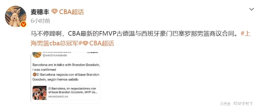 爱游戏体育纽约尼克斯终结53年冠军荒，球迷狂欢点燃全城
